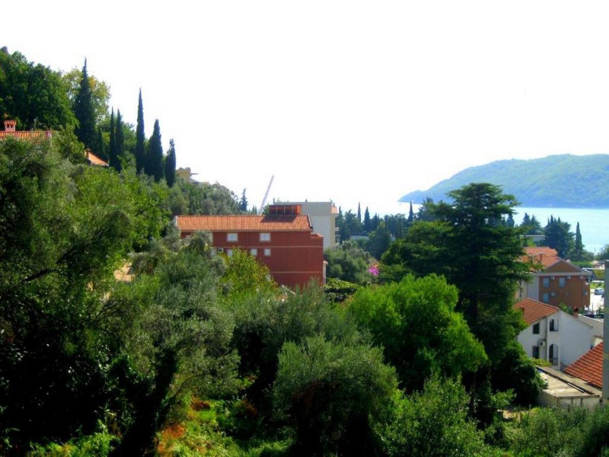 Seka Budva